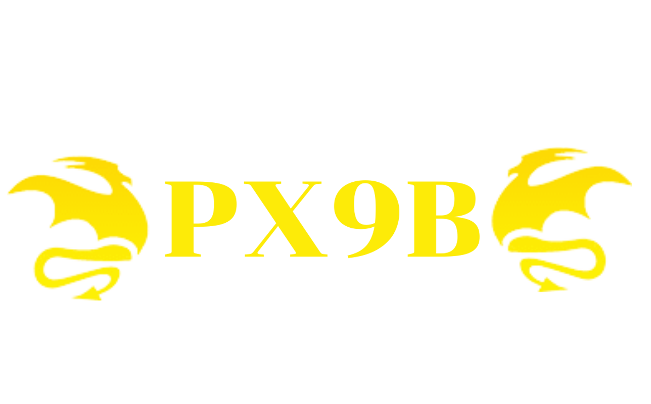 px9b.info